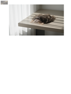 Body Talk | 100% RAW Unprocessed Human Hair